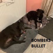 bombersbullet12.jpg